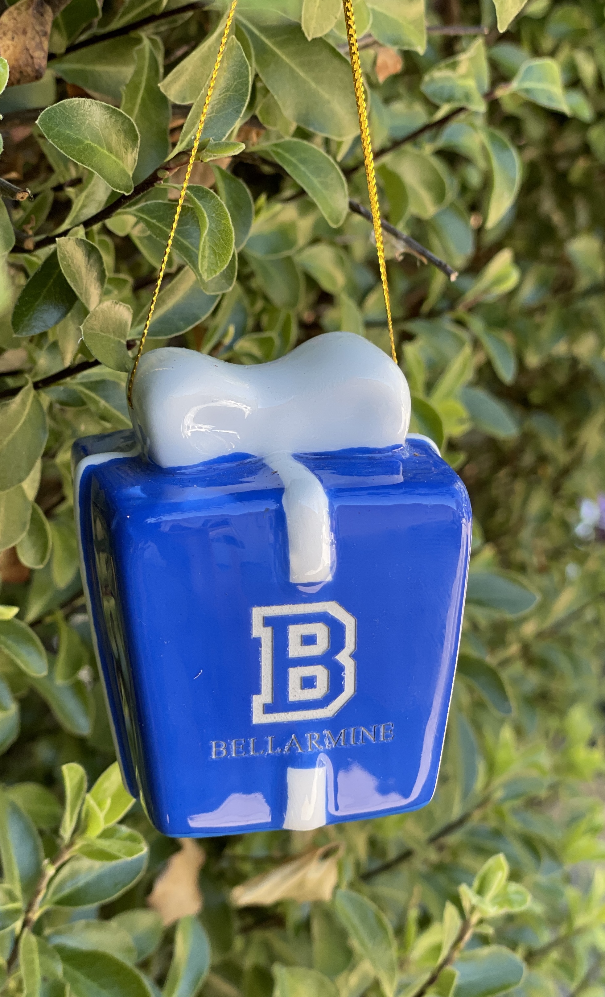 AMEN Bellarmine College Preparatory